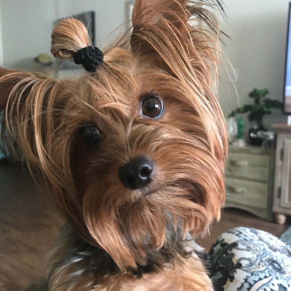 Meet your Posher, Aneta - Picture 1 of 1